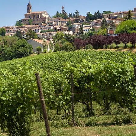 La Gatta * ויניילה