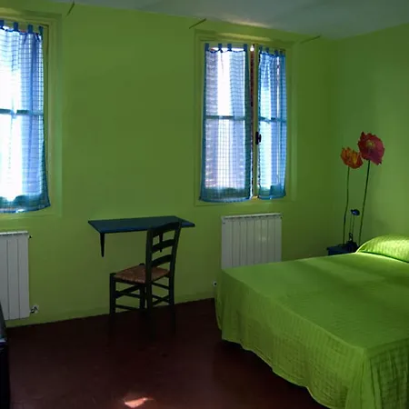 La Gatta ויניילה