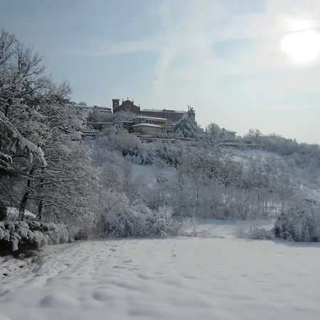 La Gatta * ויניילה